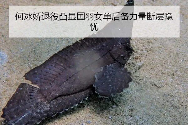 he-bing-jiao-tui-yi-tu-xian-guo-yu-nv-dan-hou-bei-li-liang-duan-ceng-yin-you-2-308.jpg